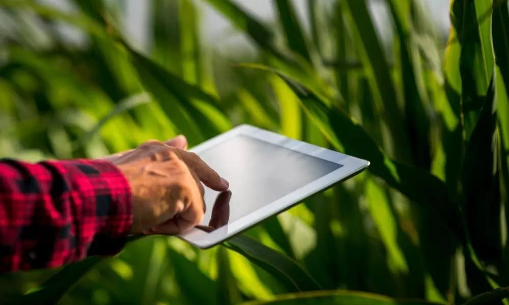 Agricoltura 4.0: caratteristiche, vantaggi e svantaggi